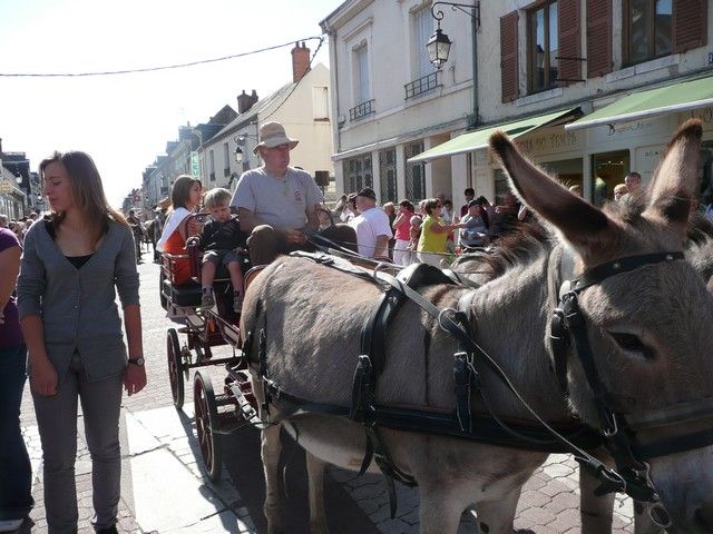 dimanche (97).jpg